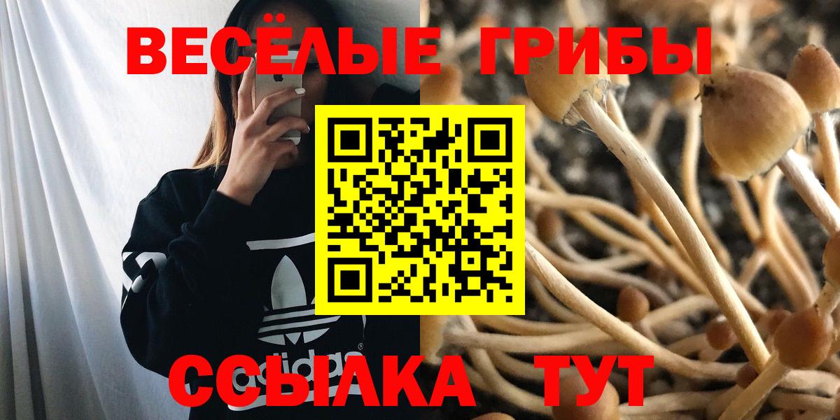 Сургут  Псилоцибиновые грибы ЛСД  Вход с VPN  Галлюциногенные грибы прущие грибы 